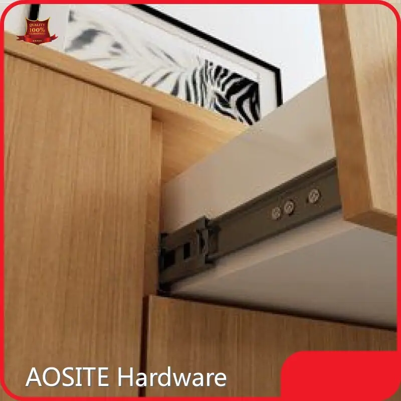 OEM & ODM மெட்டல் டபுள் வால் டிராயர் சிஸ்டம் விலை பட்டியல் | AOSITE 1