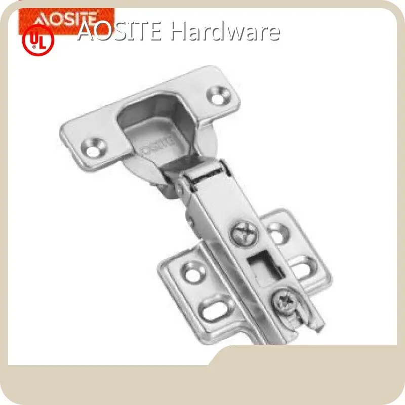 Concealed Door Hinges Types - - AOSITE 1