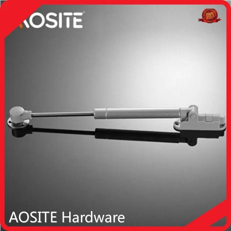 தனிப்பயன் கேஸ் ஸ்ட்ரட் கீல்கள் AOSITE 1