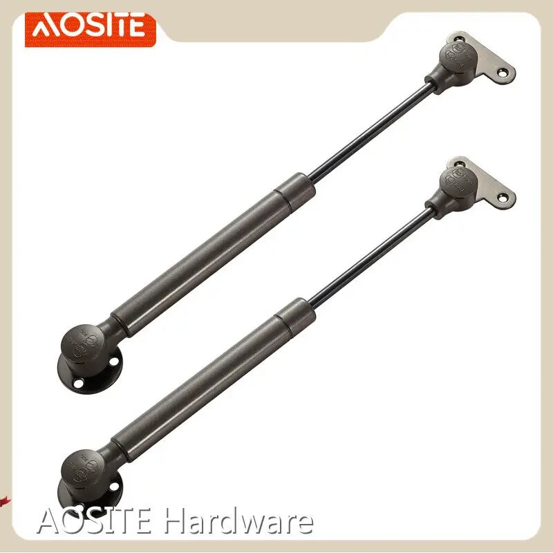 Custom Stainless Steel Gas Struts 120N-150N AOSITE 1