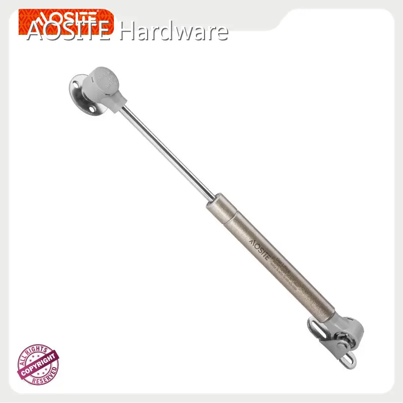 Stainless Gas Struts by AOSITE 1
