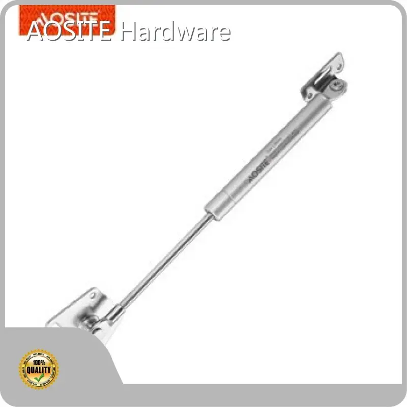 Electric Gas Struts Price List 1