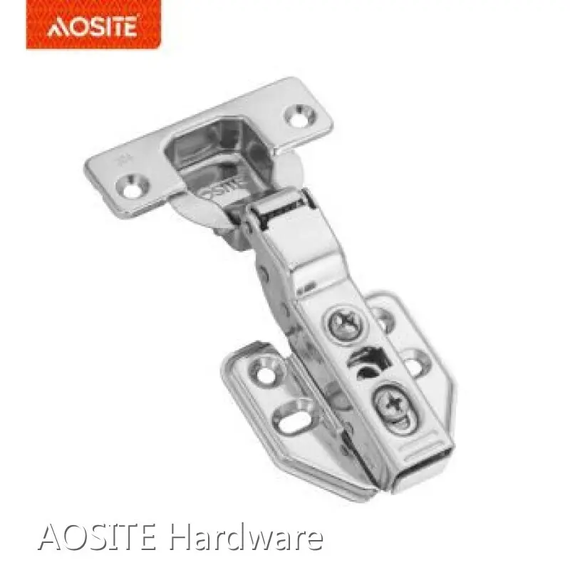 Concealed Cabinet Hinges by AOSITE 1